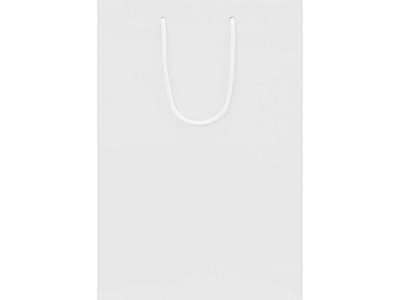 Пакет подарочный Imilit T