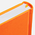 Ежедневник Favor, недатированный, оранжевый - Фото 3