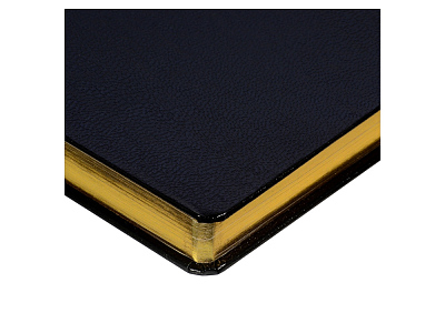 Ежедневник недатированный А5 Megapolis