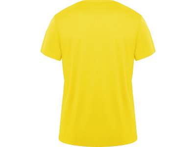 Спортивная футболка Daytona мужская