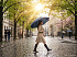Зонт-трость Jolly Brolly, темно-синий - Фото 11