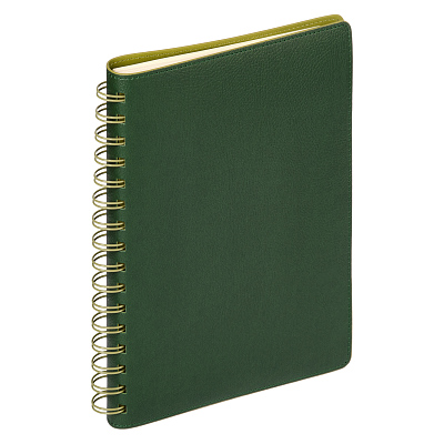 Ежедневник Виста (Vista) недатированный, зеленый/салатовый
