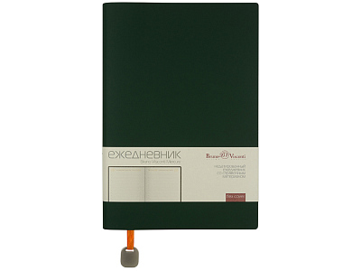 Ежедневник недатированный А5 Mercury