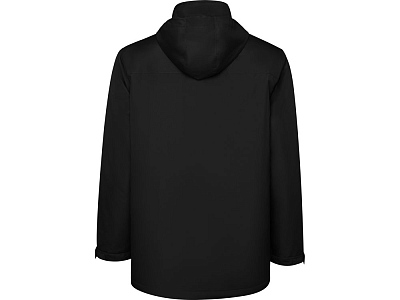 Парка утепленная America, мужская