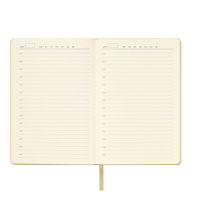 Ежедневник Spark недатированный, белое золото (с упаковкой, со стикерами)