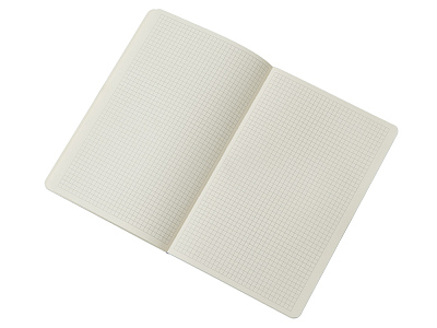 Блокнот в гибкой обложке A5 Виспи 2.0 в клетку