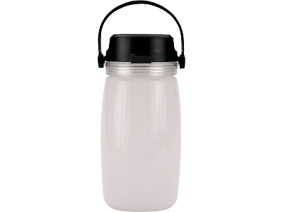 Бутылка Firefly