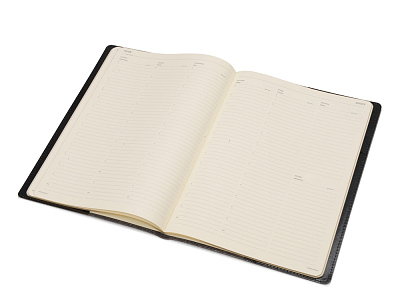 Еженедельник недатированный А4 Profy