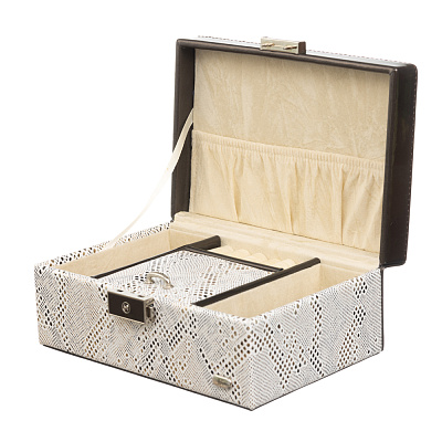 Шкатулка для украшений Jardin D'Ete, цвет бежево-золотистый, "змея", 18,3 х 12,3 х 8,6 см (Бежевый)