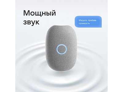 Умная колонка VK Капсула с голосовым помощником Марусей, 30 Вт