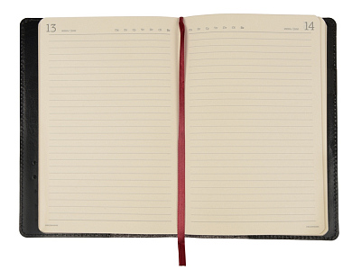 Ежедневник полудатированный портфолио А5 Profy