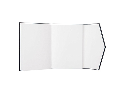 Блокнот A6 Bird