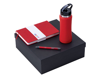 Подарочный набор Color it с блокнотом, металлической ручкой и бутылкой (Красный)