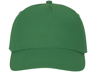 Бейсболка Feniks