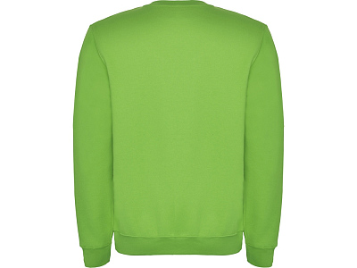 Свитшот с начесом Clasica унисекс