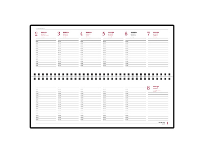 Планинг датированный Бумвинил на 2025 год
