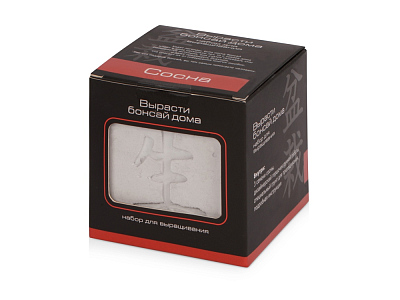 Подарочный набор Вырасти Бонсай дома. Сосна