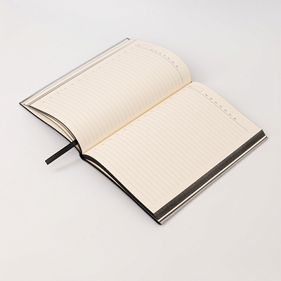 Ежедневник City New Standart недатированный, черный