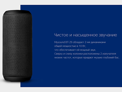 Портативная колонка Mysound BT-29