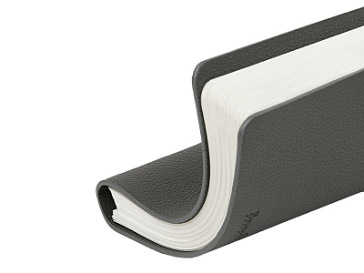 Ежедневник недатированный А5 Alba