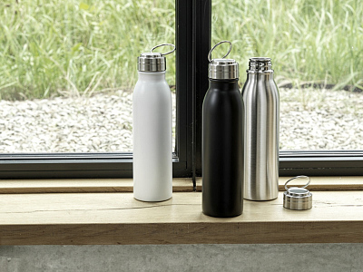 Бутылка для воды с металлической петлей Harper, 700 мл