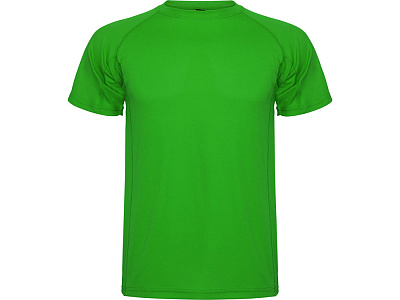 Спортивная футболка Montecarlo мужская (Папоротниковый)