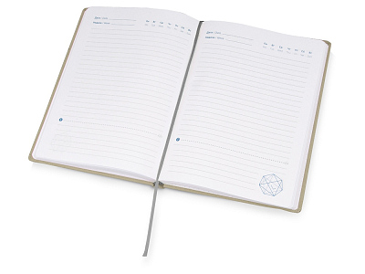 Ежедневник недатированный А5 Strap AR