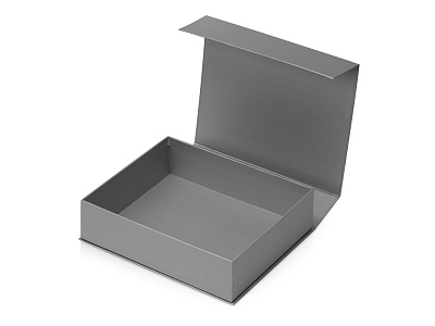 Подарочная коробка Giftbox средняя