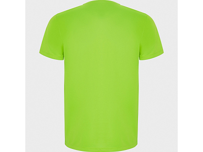 Спортивная футболка Imola мужская