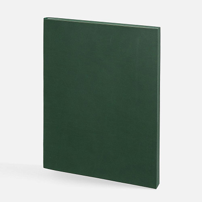 Ежедневник Flat Maxi, недатированный , ver.2 (Зеленый)