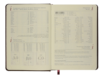 Ежедневник недатированный А5 Velvet Index с индексами