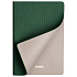 Ежедневник Рейн (Rain) недатированный, зеленый (без упаковки, без стикера) - Фото 3
