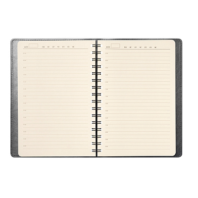 Ежедневник Виста Нео (Vista Neo) недатированный, серый