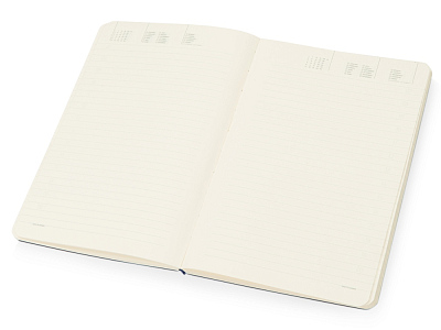 Ежедневник недатированный А5 Megapolis Flex