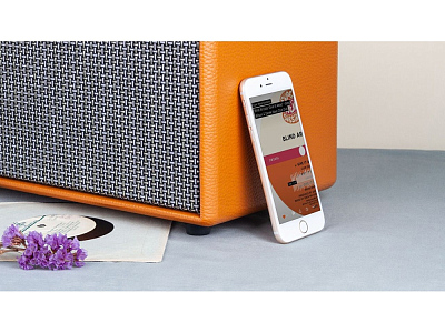 Портативная акустика Mysound Groove