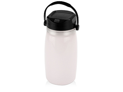 Бутылка Firefly