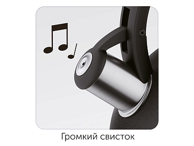 Чайник со свистком ANESA, 2,9 л