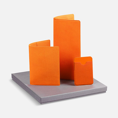 Набор Devon  (Оранжевый)