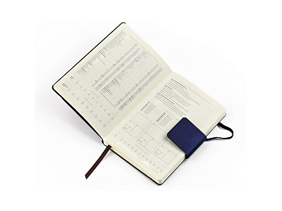 Ежедневник недатированный В5 Zenith