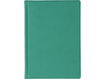 Ежедневник недатированный А5 Velvet