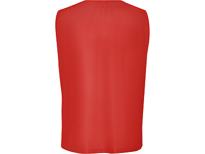 Манишка спортивная Roma, унисекс