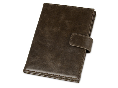 Бумажник путешественника Druid с отделением для паспорта (Коричневый)
