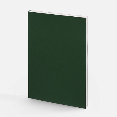 Ежедневник Flat Light ver.2, недатированный  (Зеленый)