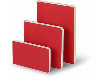 Ежедневник недатированный B5 Megapolis Flex