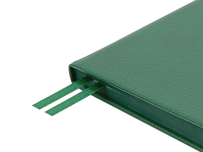 Ежедневник недатированный А5 Megapolis Nappa