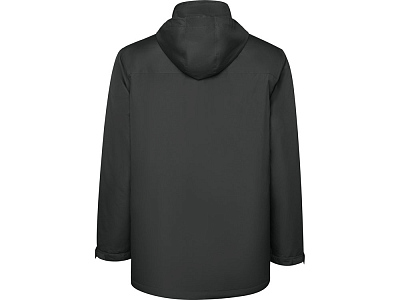 Парка утепленная America, мужская