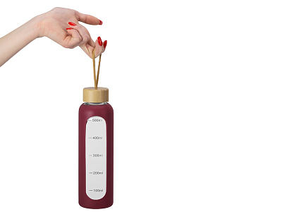 Бутылка из боросиликатного стекла Hangy, 550 мл