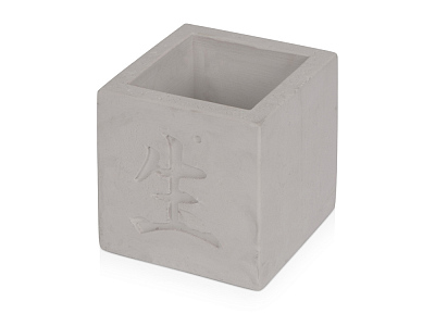 Подарочный набор Вырасти Бонсай дома. Жасмин