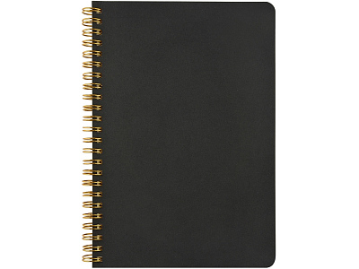 Бизнес тетрадь А5 Pragmatic