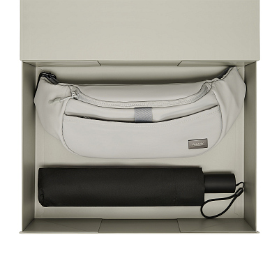 Подарочный набор Boston, Filton, серый (поясная сумка, зонт)